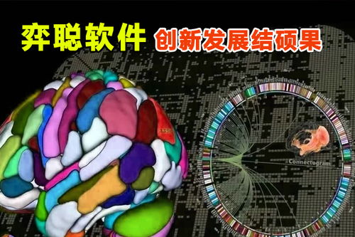 弈聰軟件 科研創(chuàng)新結(jié)碩果，信息安全軟件開(kāi)發(fā)再添新動(dòng)能